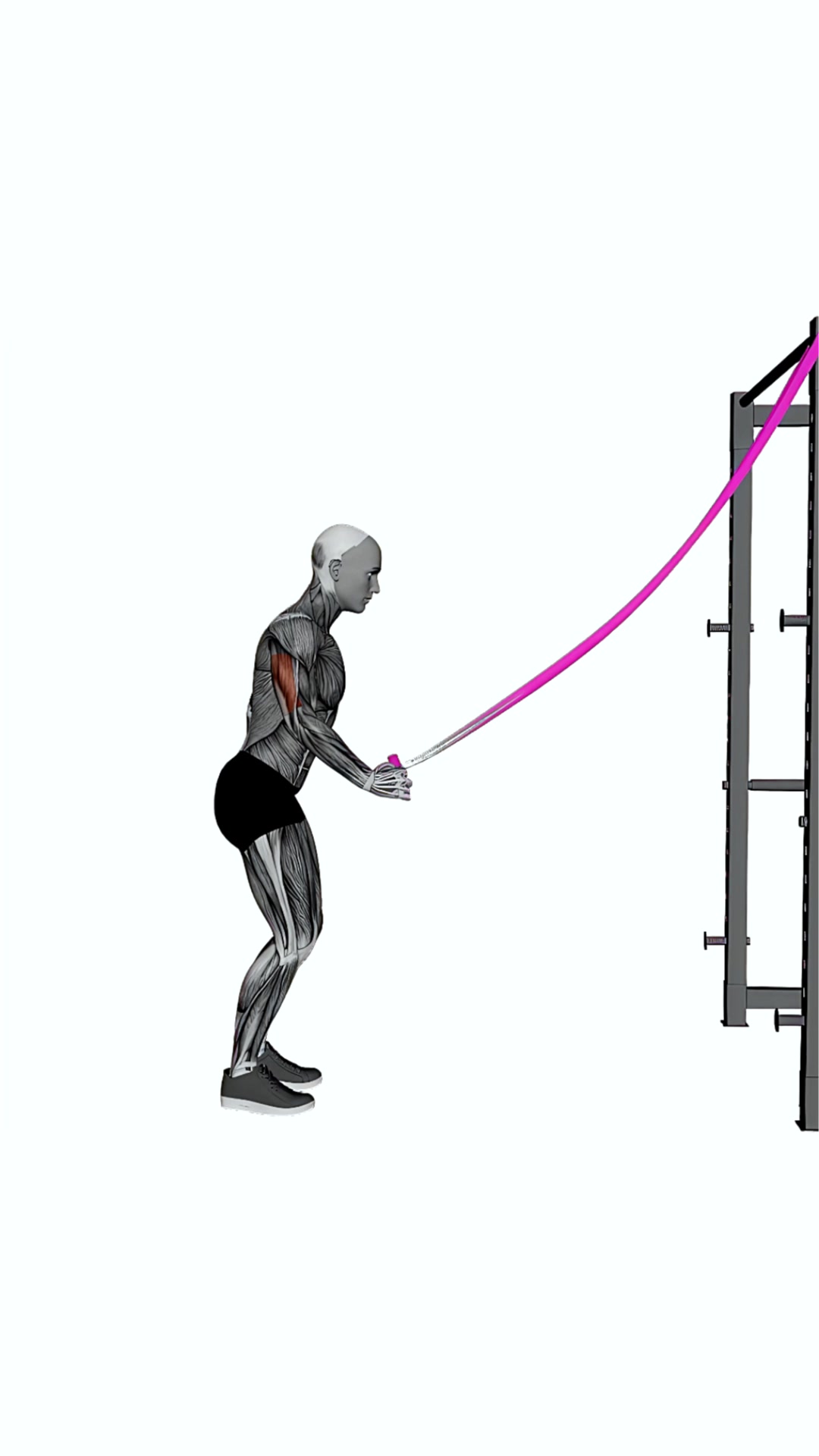 Band Triceps Pushdown Single Arm
