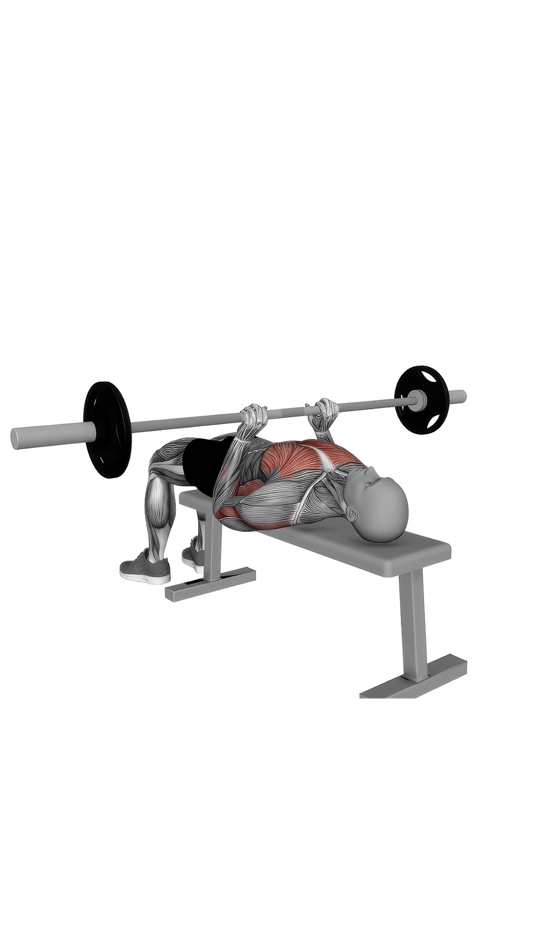 Barbell Close Grip Press
