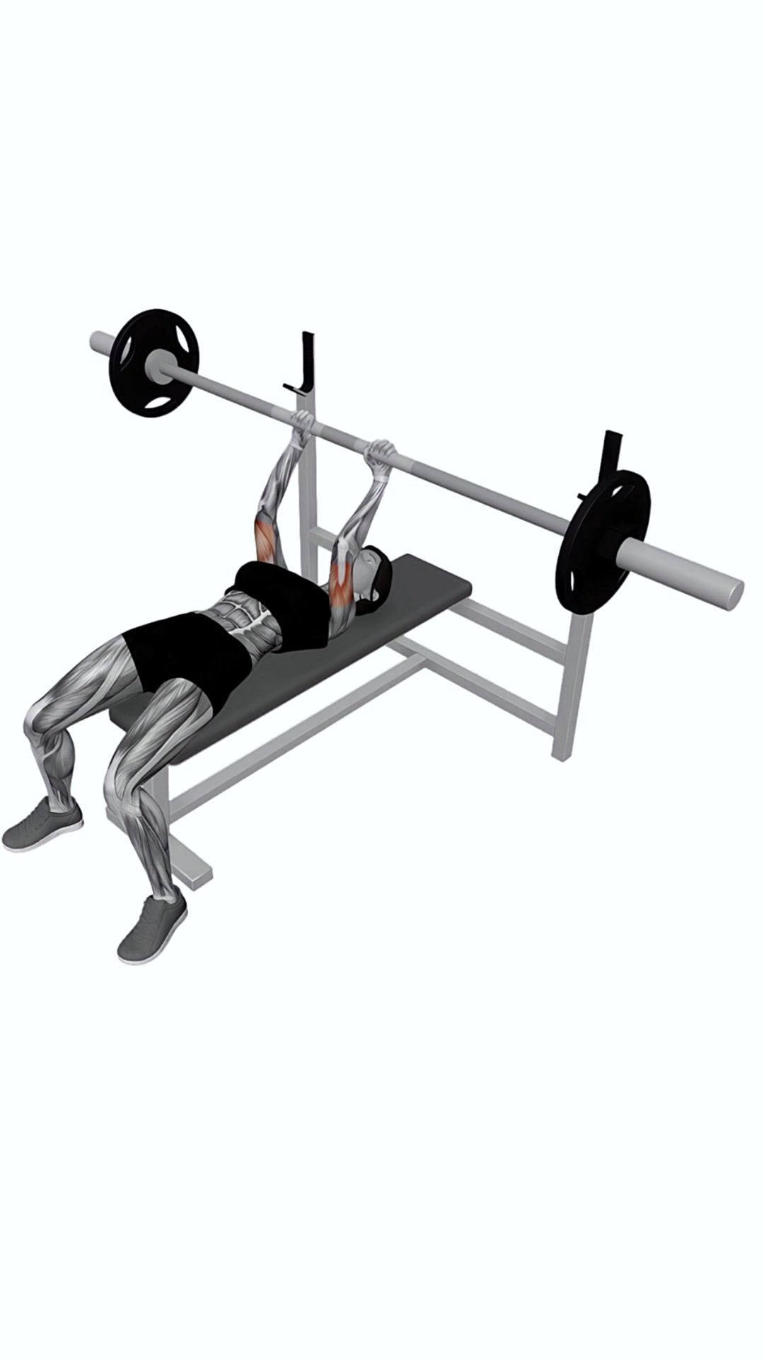Barbell Lying Extension