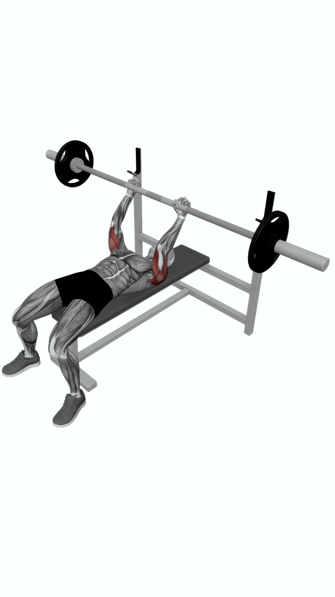 Barbell Lying Triceps Extension