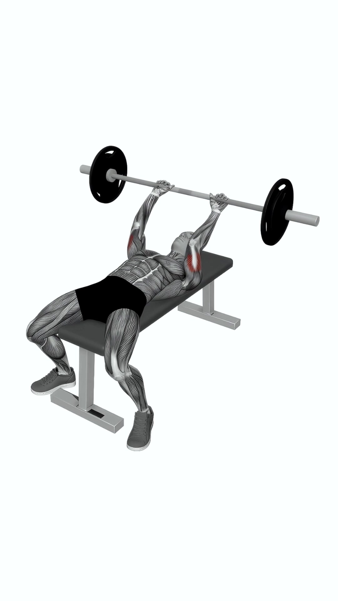 Barbell Lying Triceps Skull Crushers