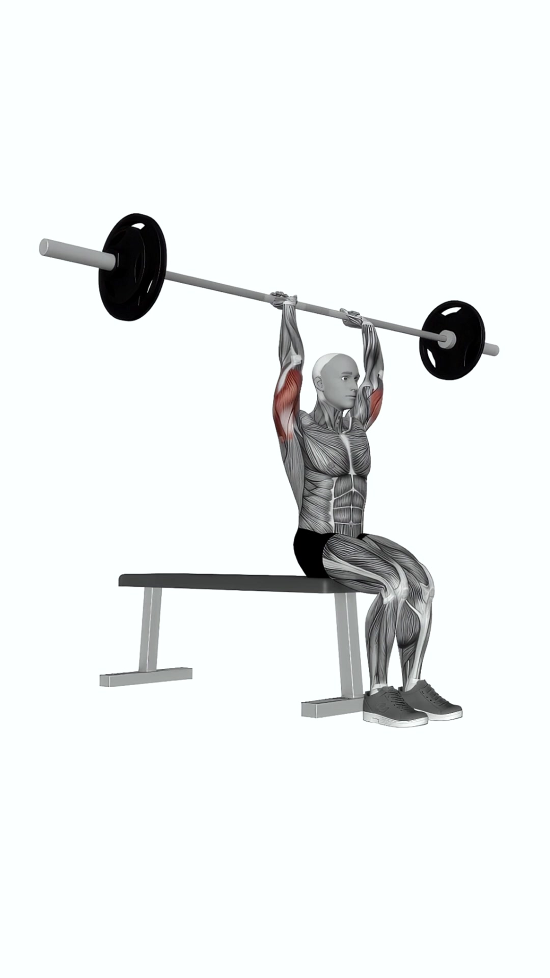 Barbell Seated Overhead Triceps Press