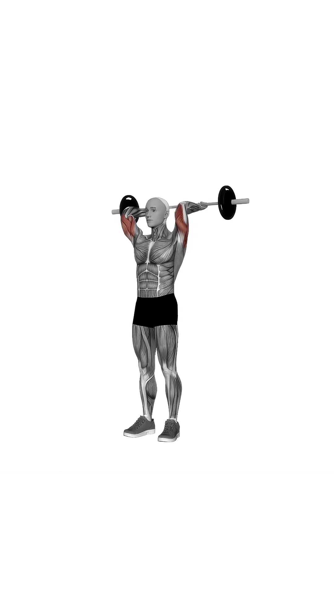 Barbell Standing Overhead Triceps Extension
