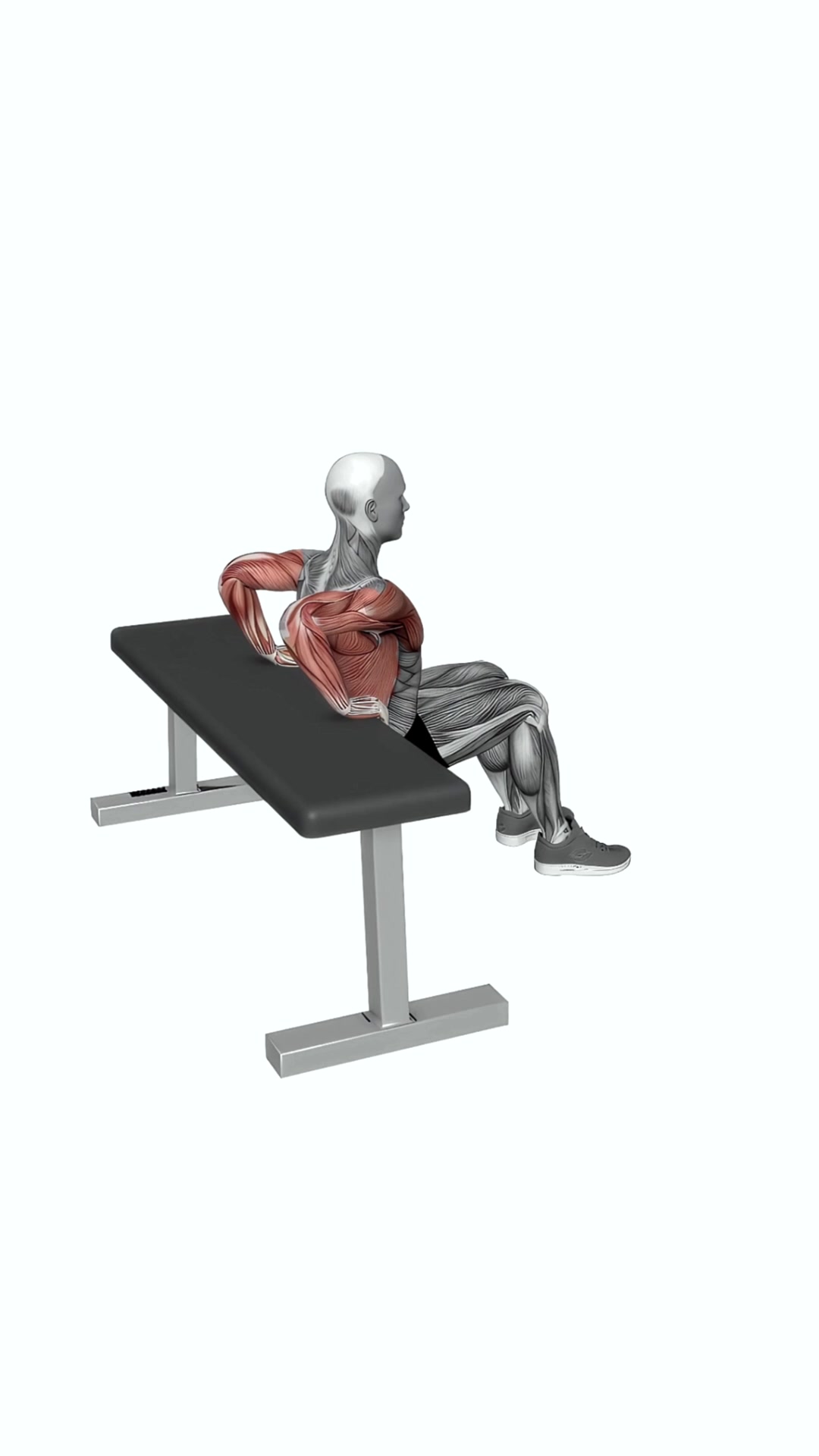 Bench Dip (knees Bent)