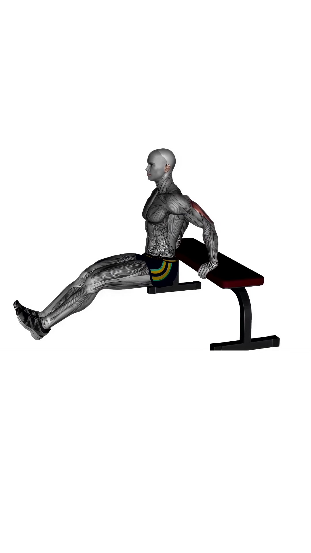 Bench Triceps Dip Leg Curls