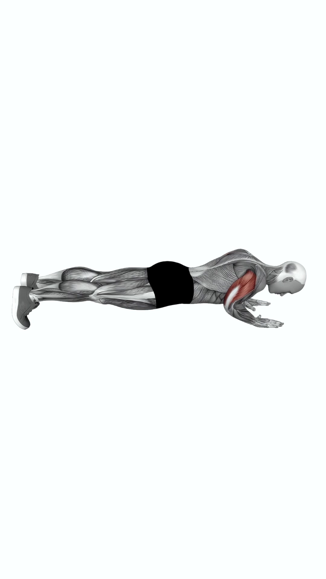 Body-up