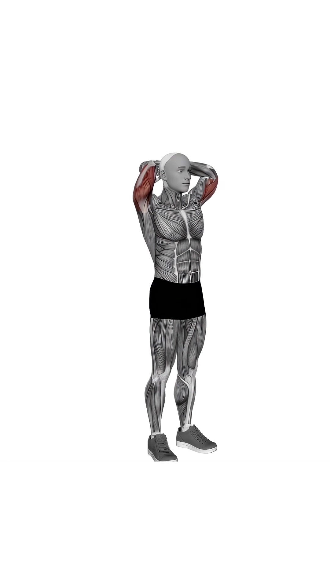 Bodyweight Overhead Triceps Extension