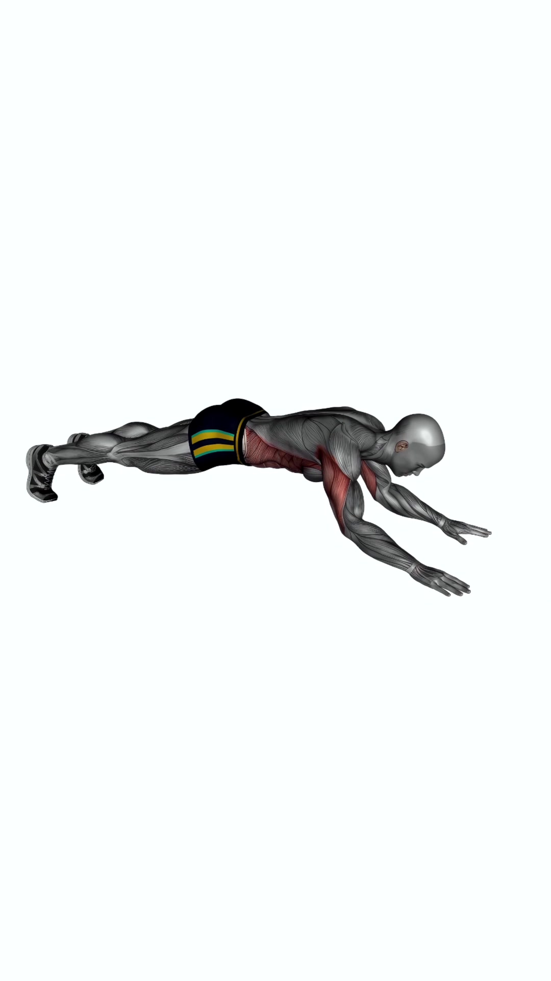 Bodyweight Triceps Extension
