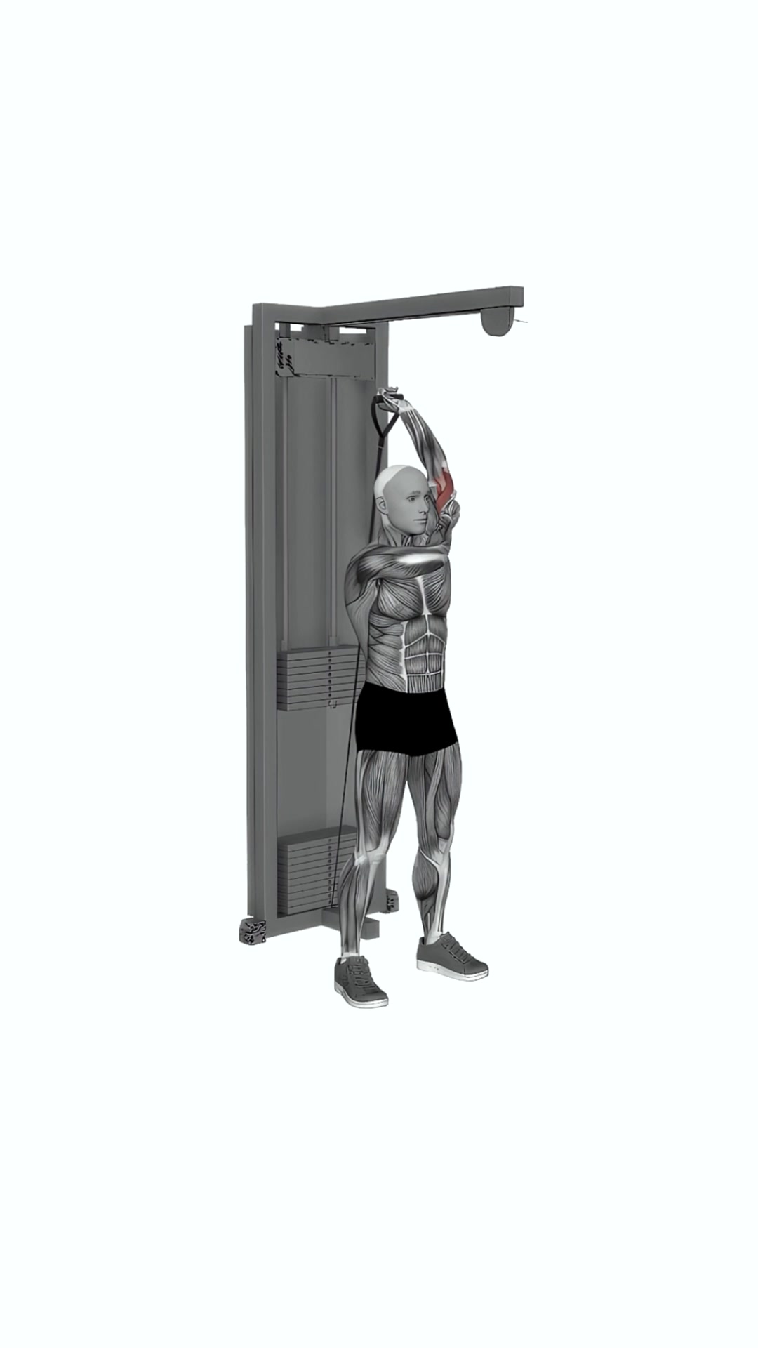Cable Alternate Triceps Extension