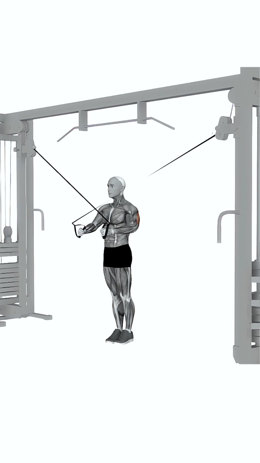 Cable Cross Pushdown
