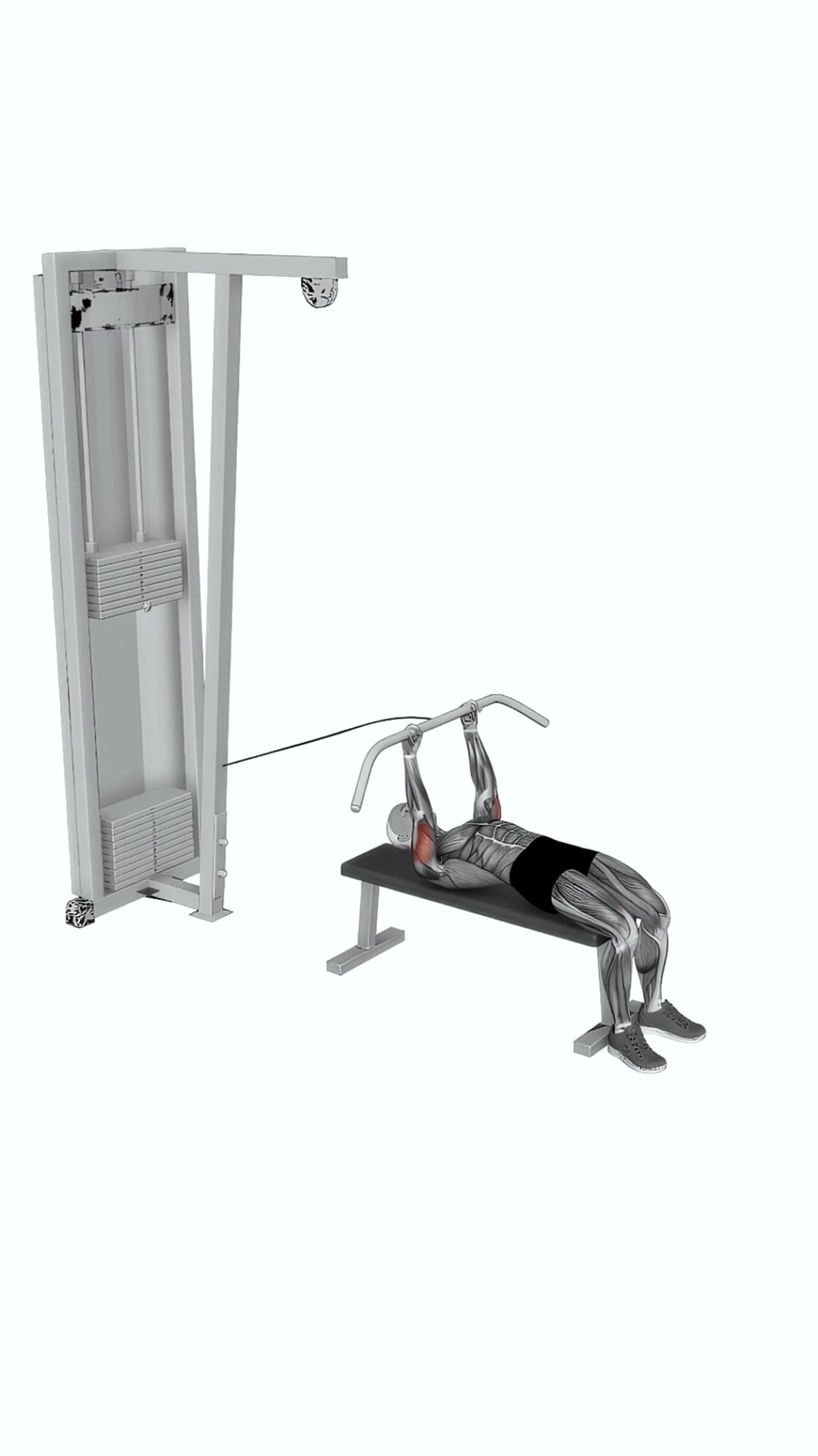 Cable Lying Triceps Extension