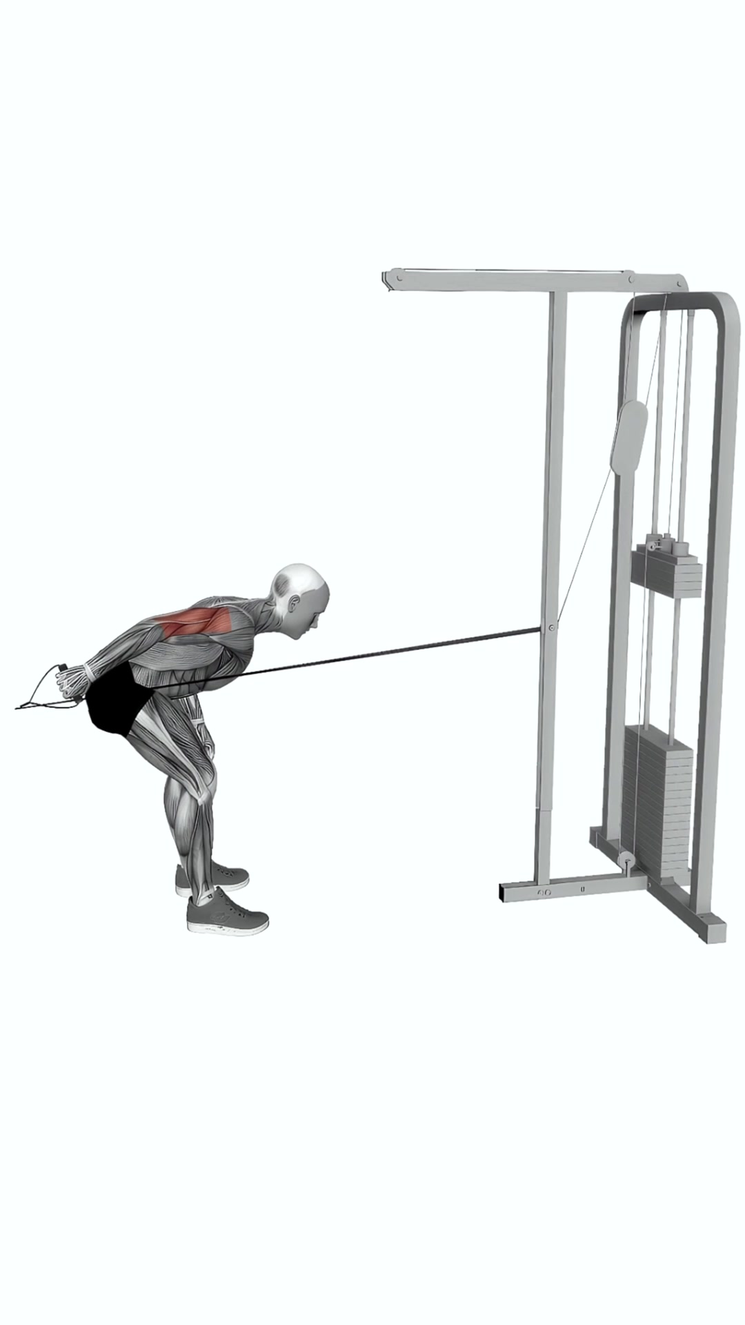 Cable Neutral Grip Kickback