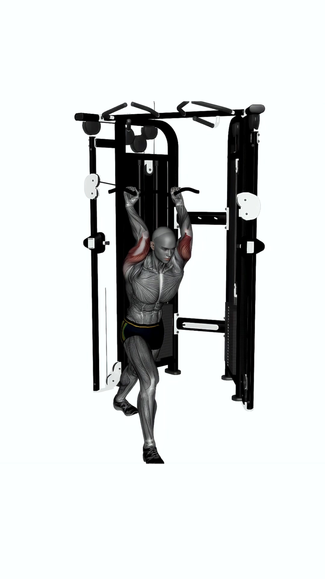 Cable Triceps Overhead Extension (ez Bar)
