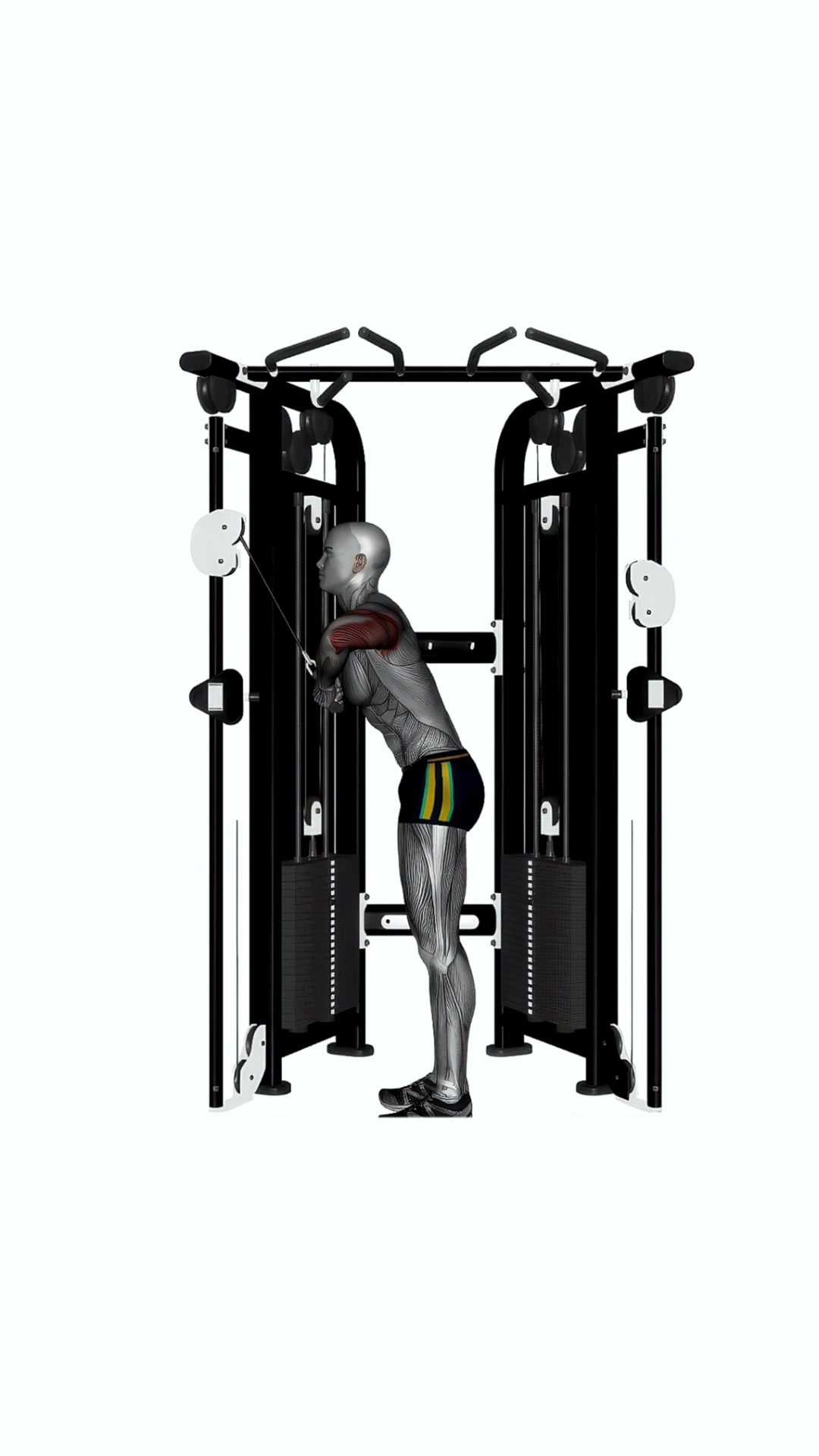 Cable Triceps Push Down Elbow Out (v Bar)