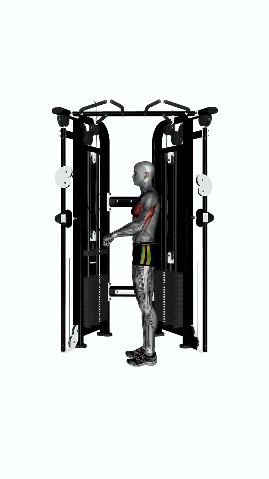 Cable Triceps Push Down Ez Bar Wide Grip
