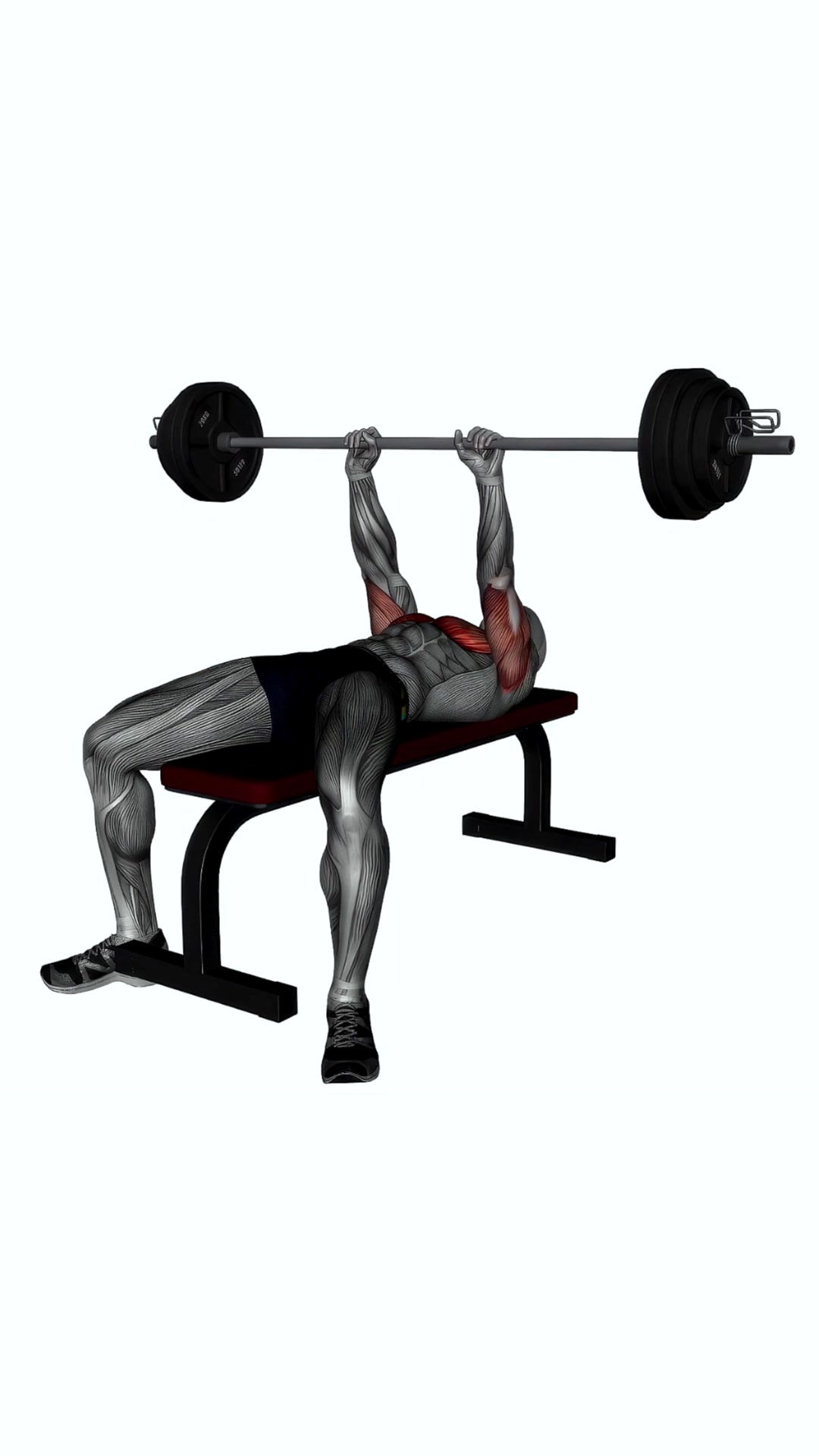 Close Grip Barbell Bench Press