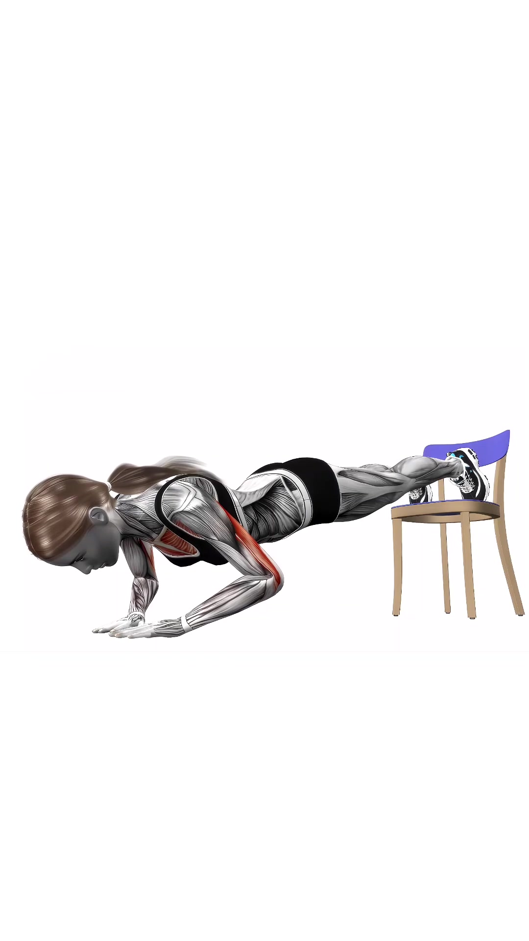 Decline Chair Push Up Diamond
