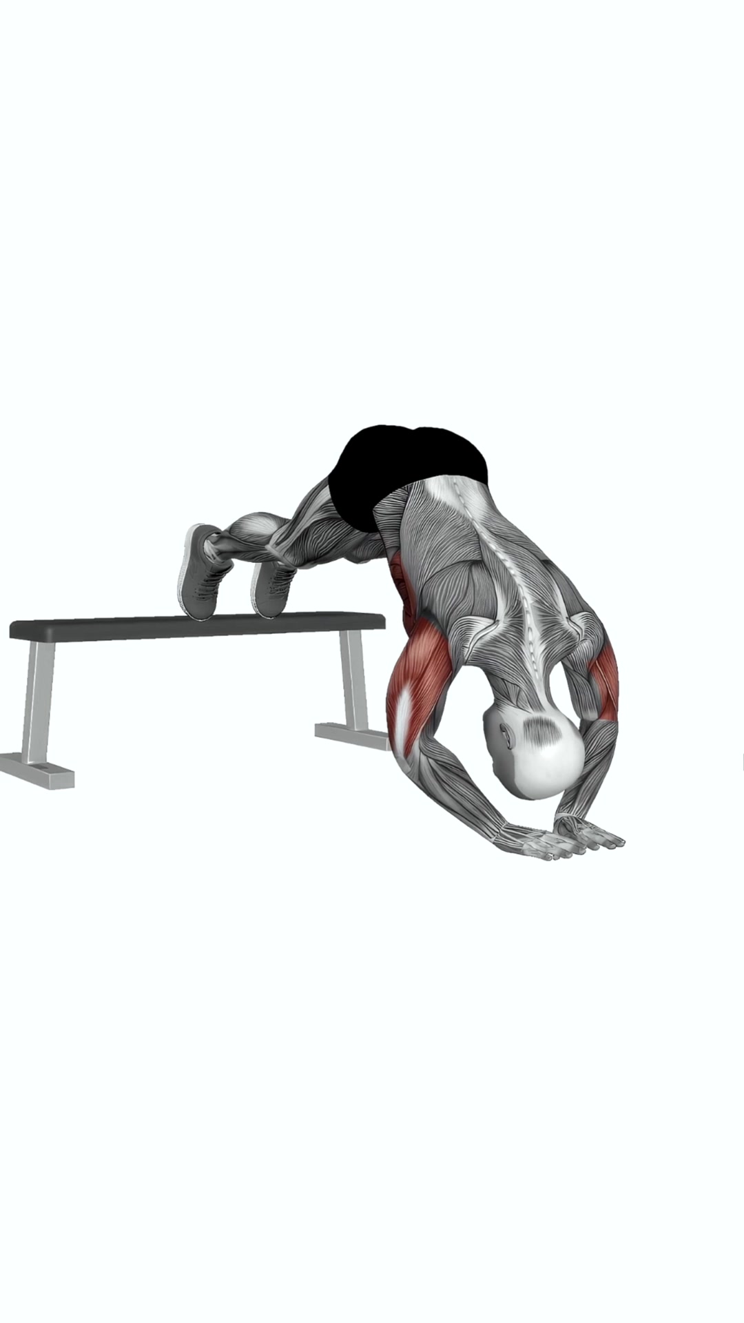 Decline Diamond Pike Push-up
