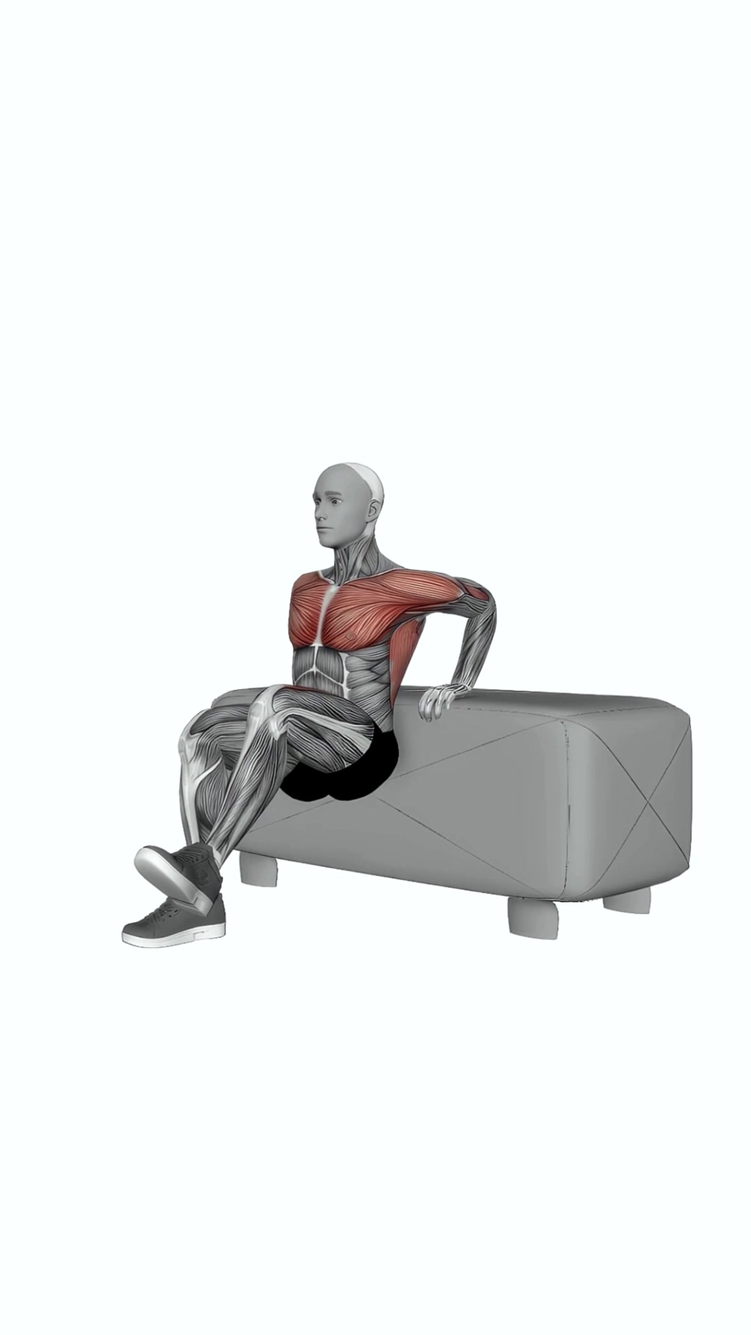 Dip Leg Raise On Couch