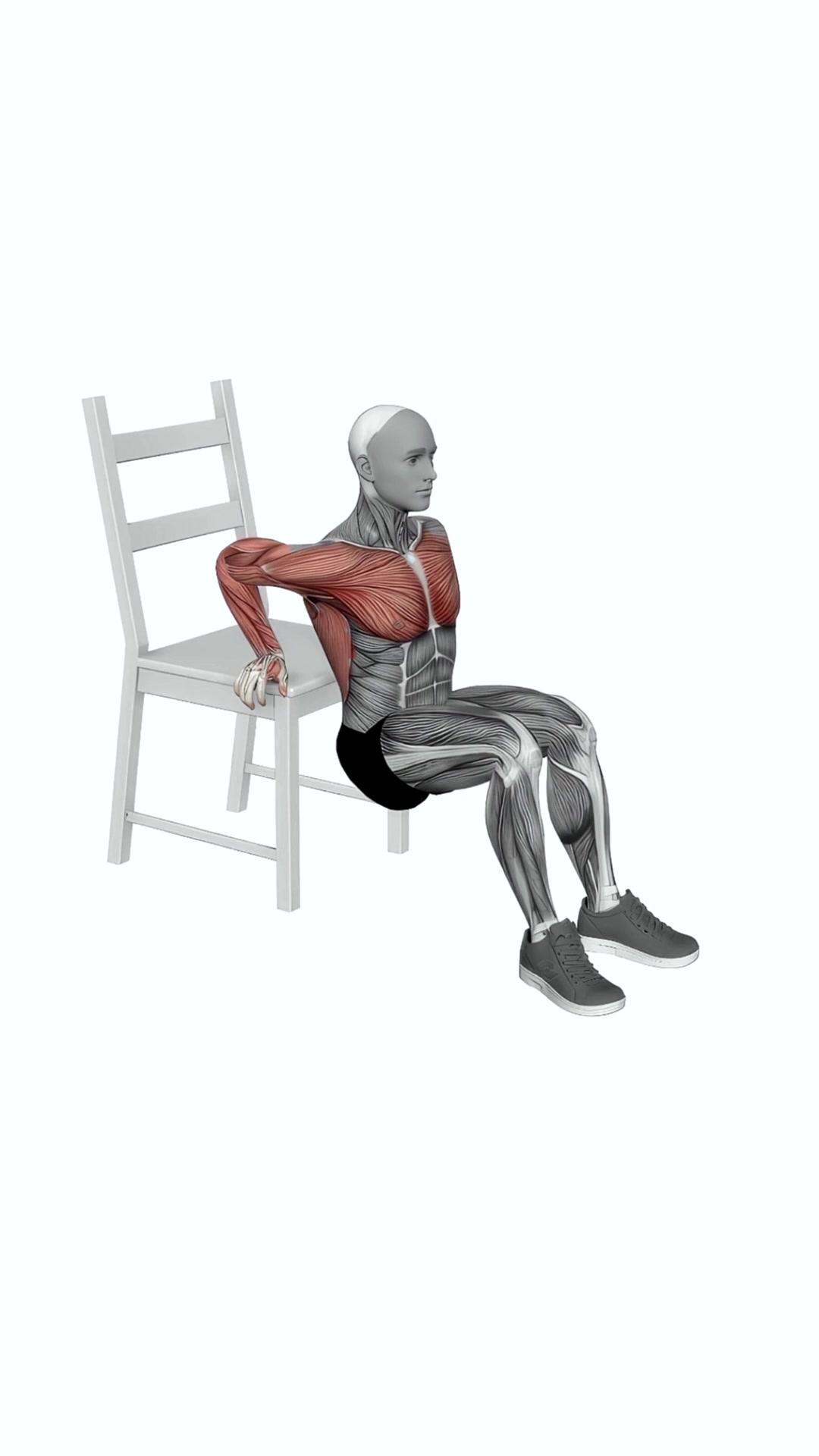 Dip On Floor With Chair