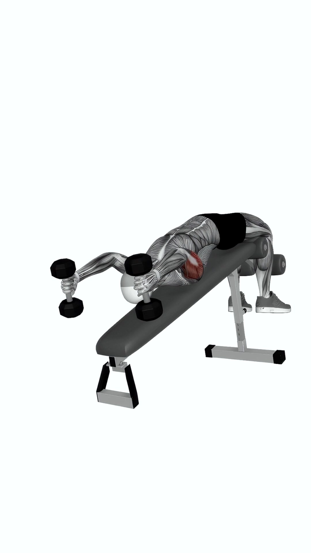 Dumbbell Decline Triceps Pull-over Extension