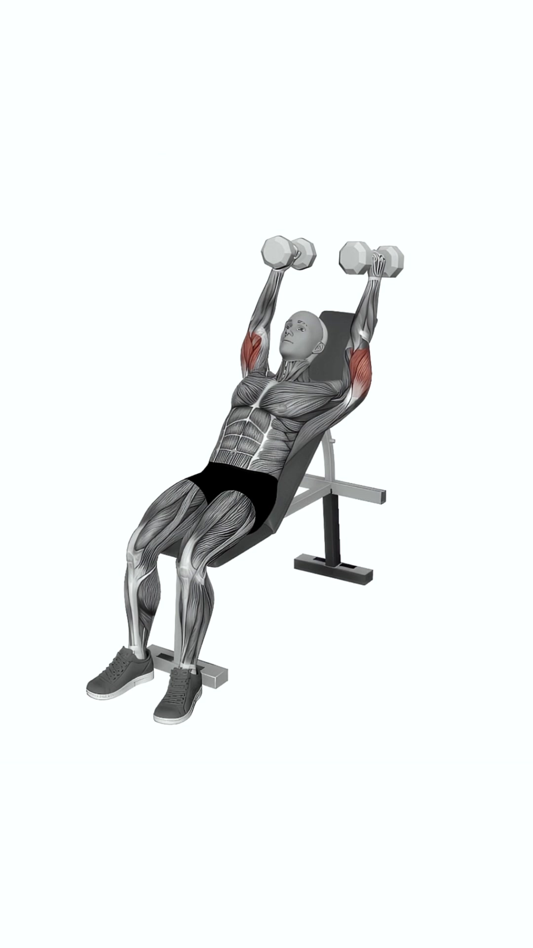 Dumbbell Incline Triceps Extension