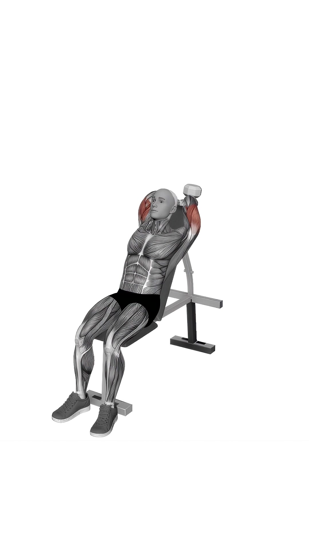 Dumbbell Incline Two Arm Extension