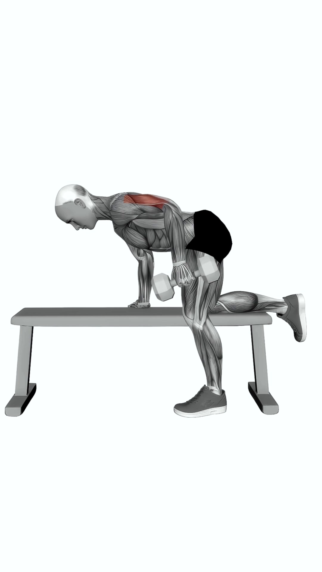 Dumbbell Kickback