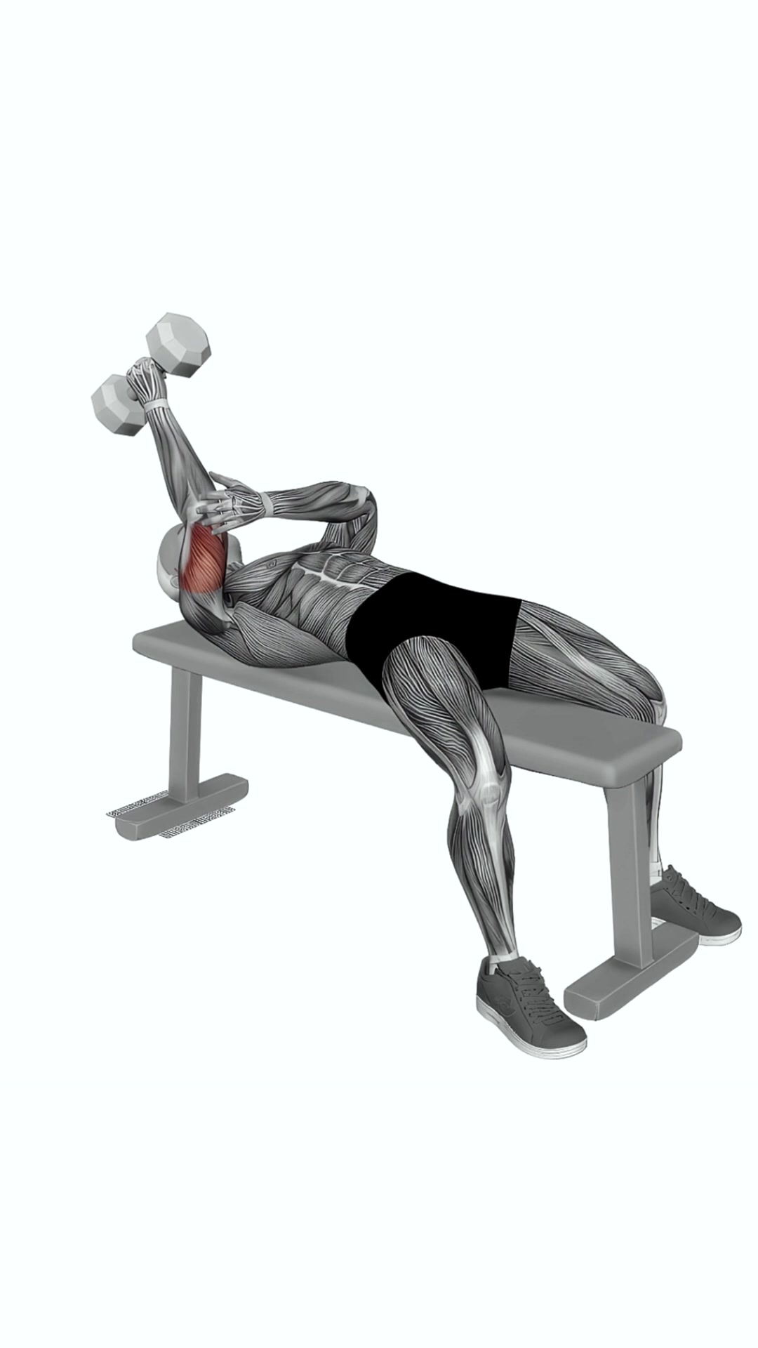 Dumbbell Lying One Arm Neutral Triceps Extension