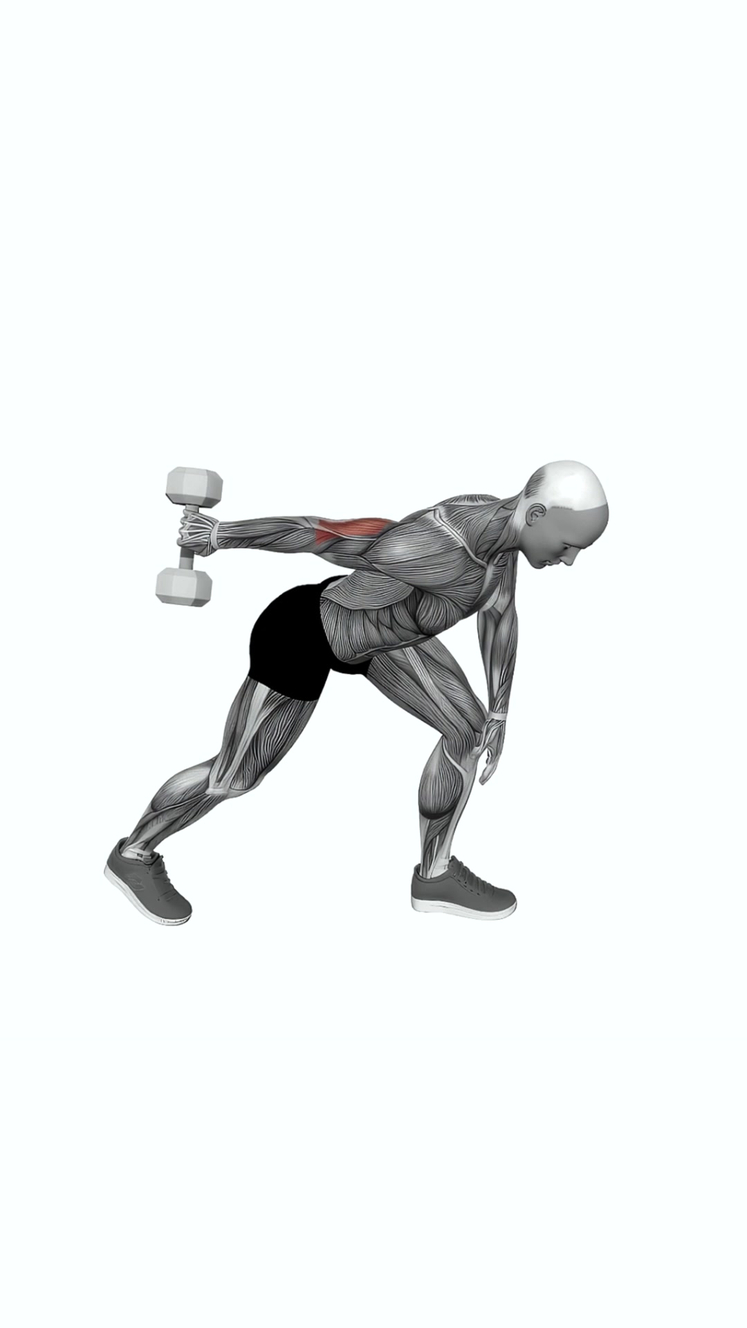 Dumbbell One Arm Kickback