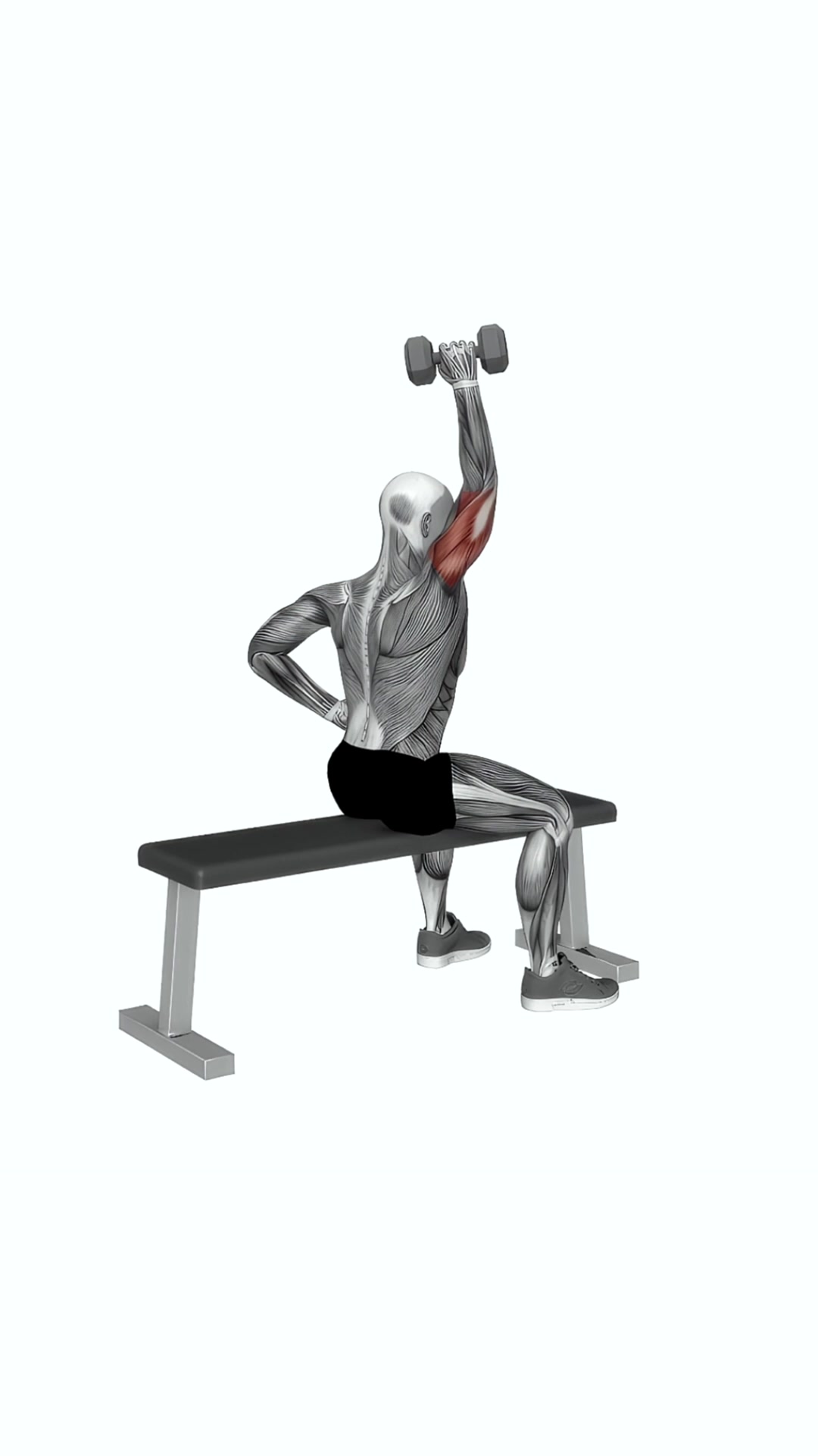 Dumbbell One Arm Triceps Extension (on Bench)