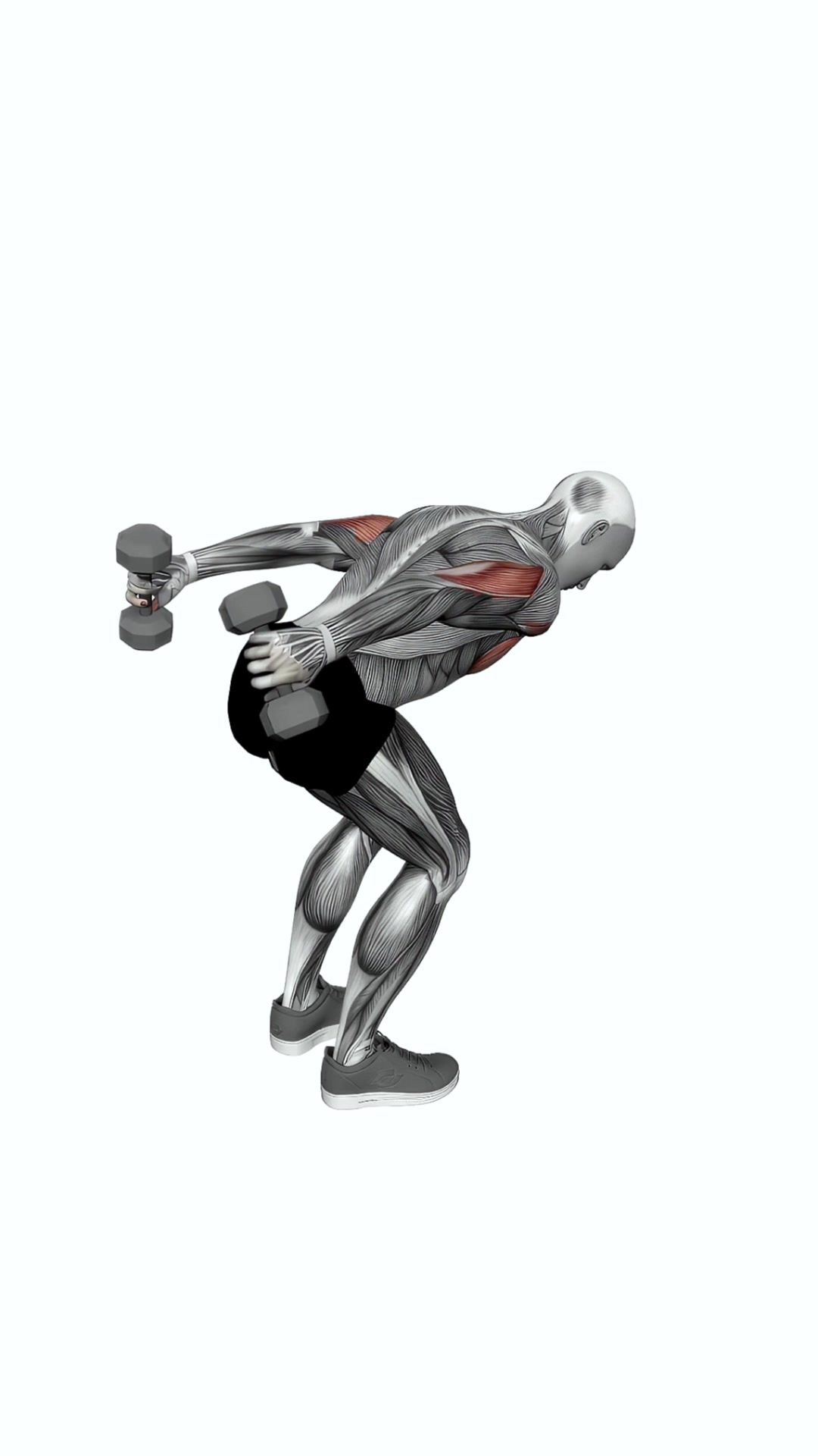 Dumbbell Standing Both Arms Kickback