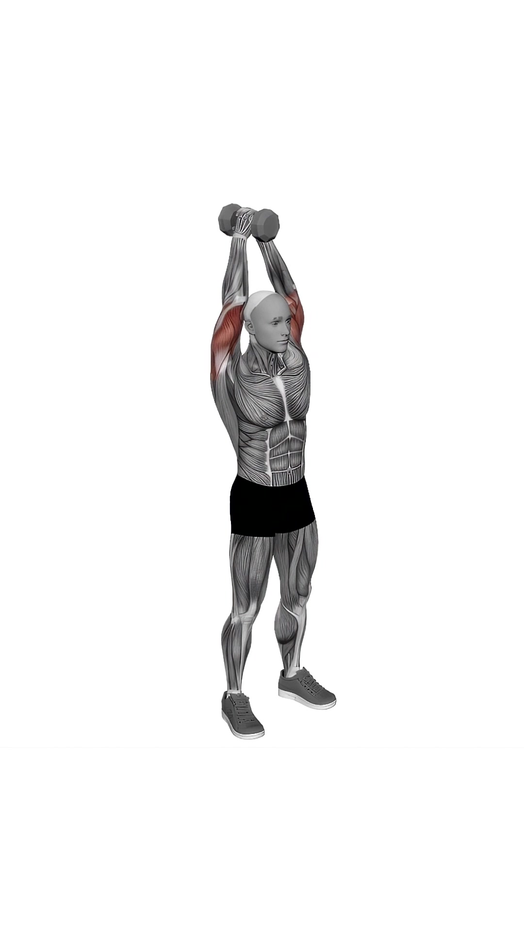 Dumbbell Standing Triceps Extension
