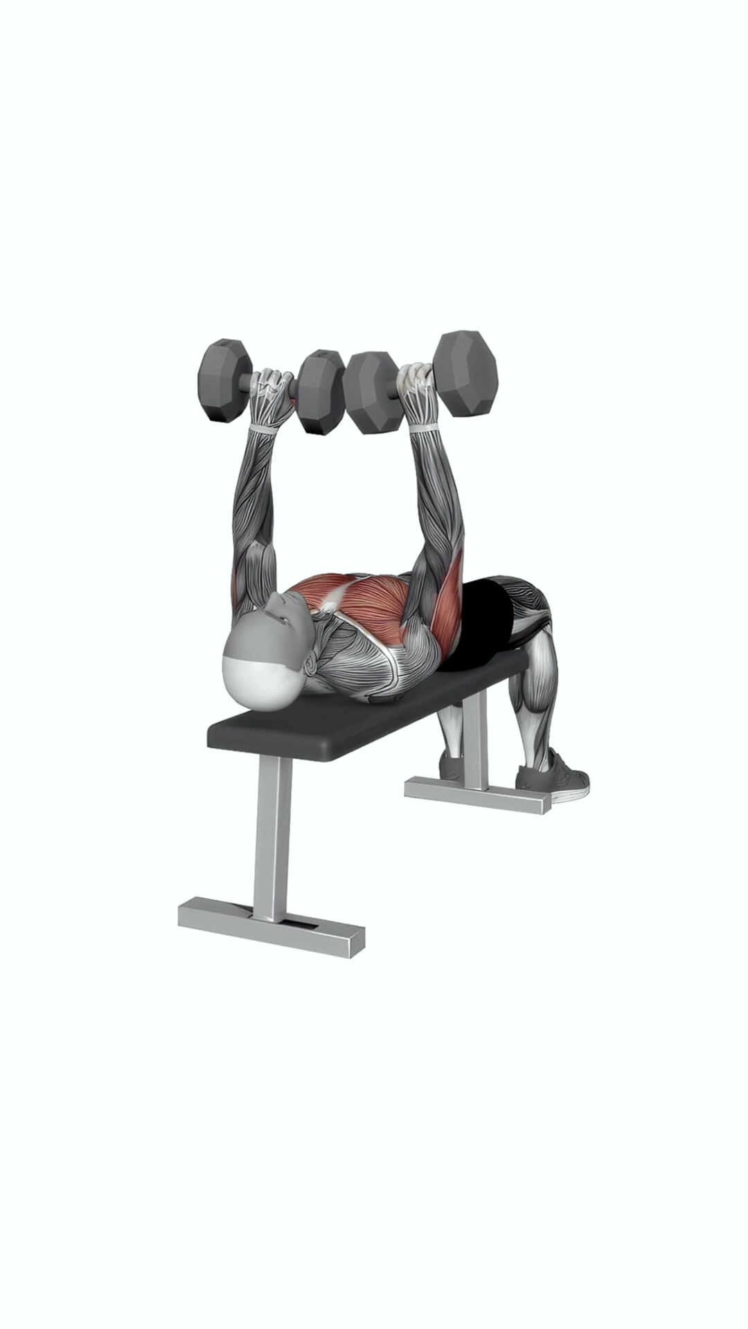 Dumbbell Tate Press