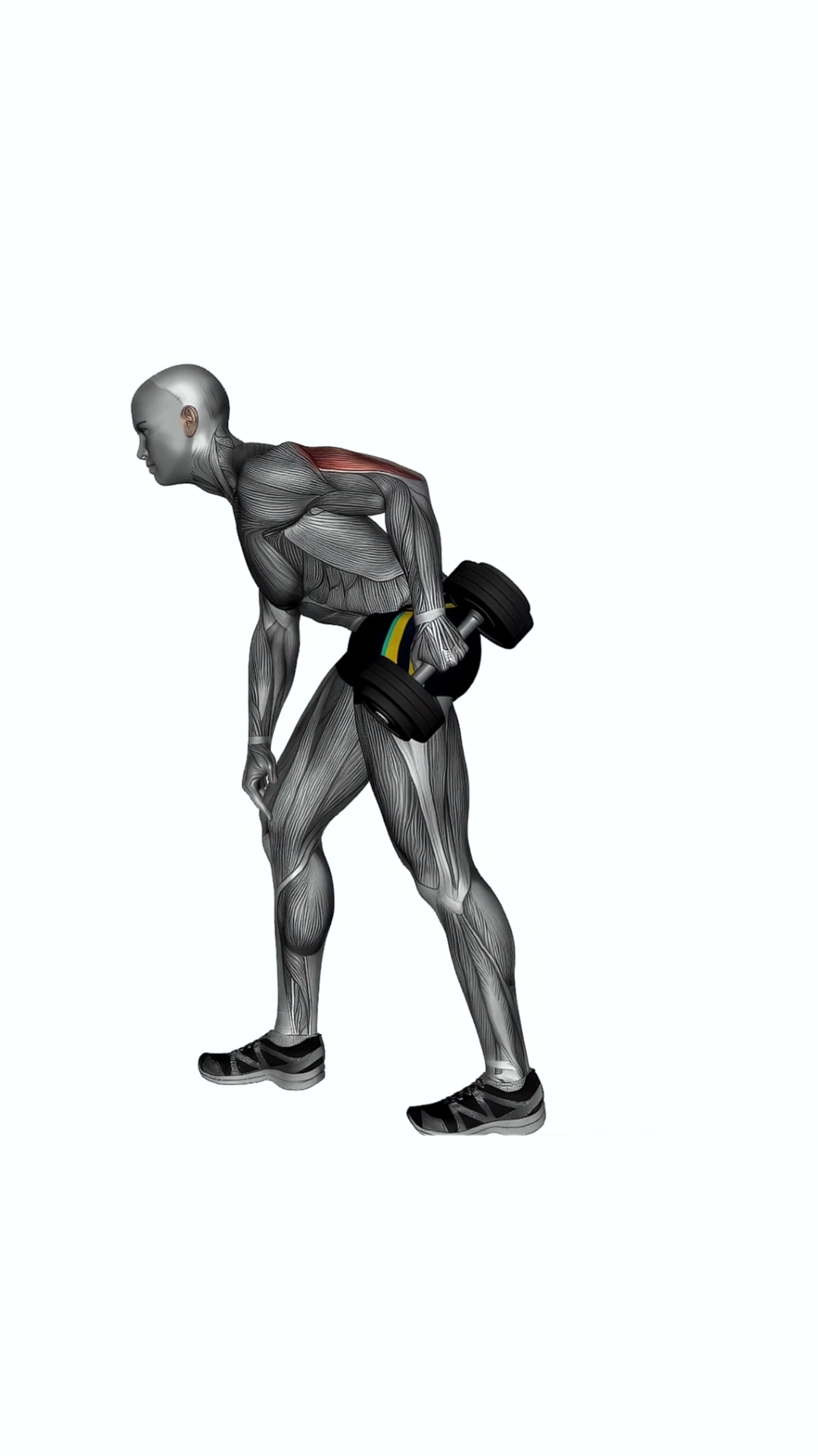 Dumbbell Triceps Kick Back Single Arm