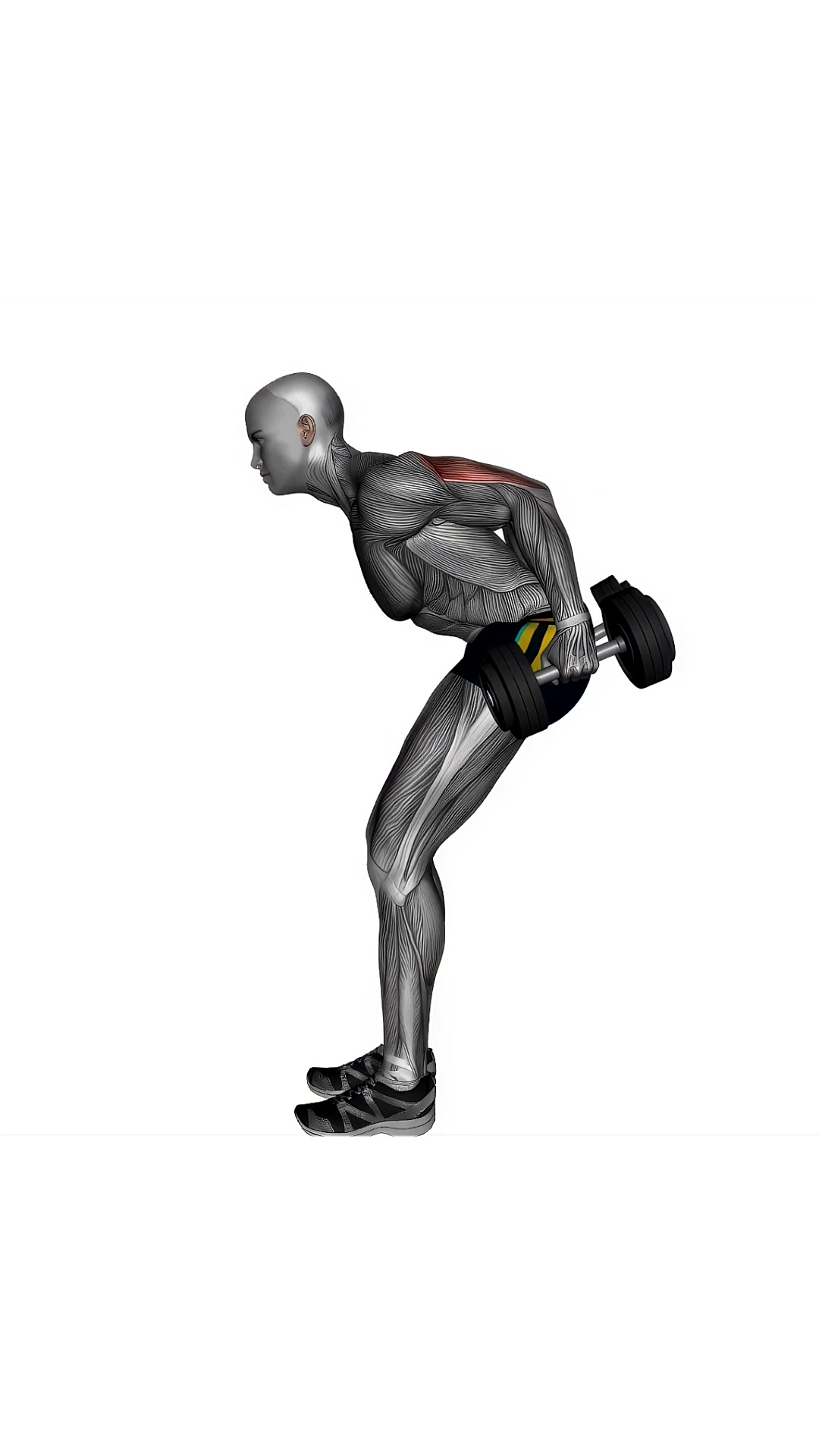 Dumbbells Triceps Kick Back Both Arms