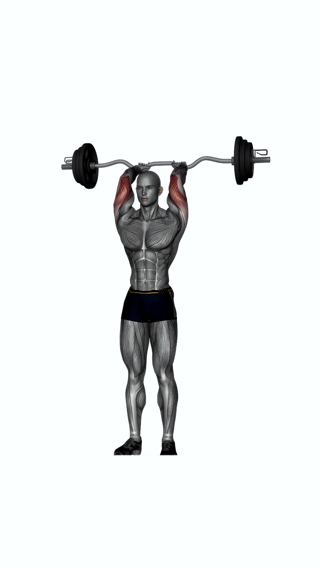 Ez Bar Overhead Extensions Standing