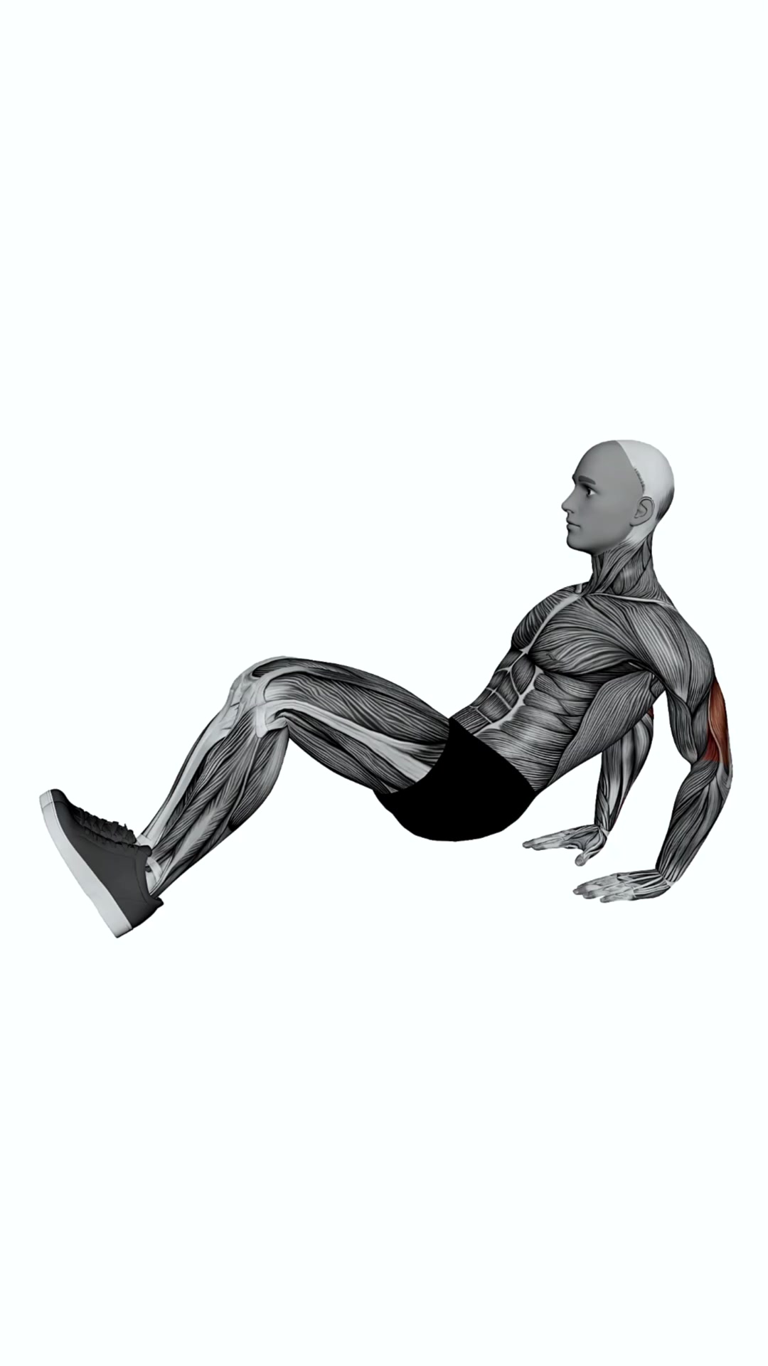 Floor Tricep Dip