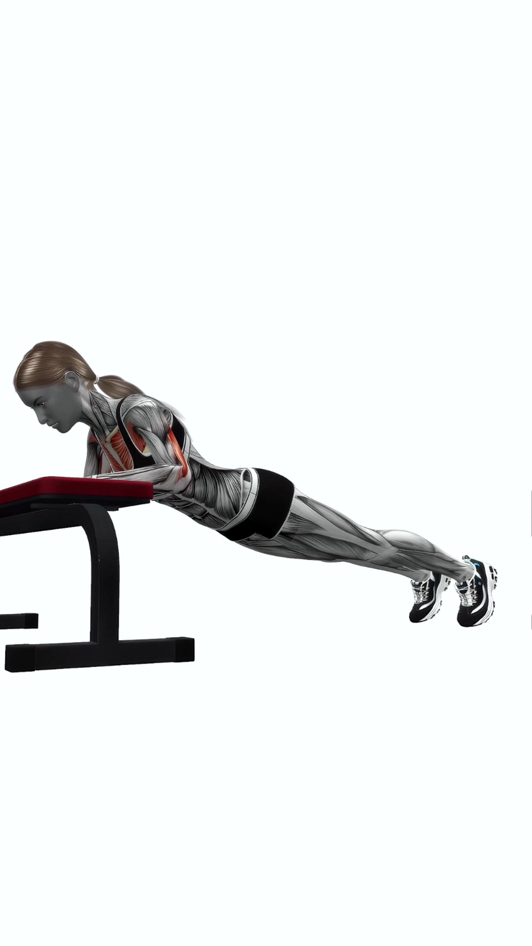 Incline Diamond Push Up On Bench