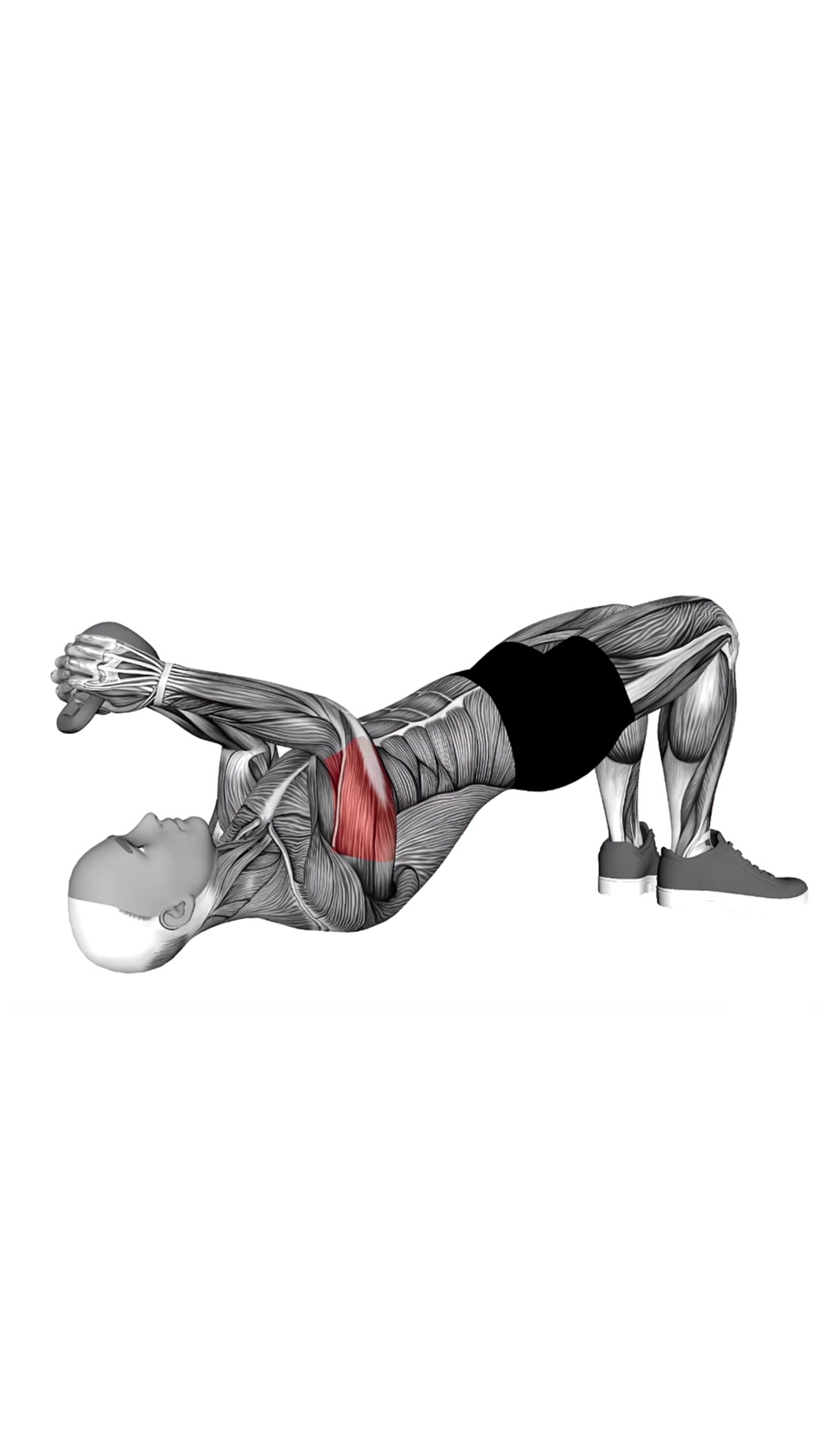 Kettlebell Decline Skull Crusher