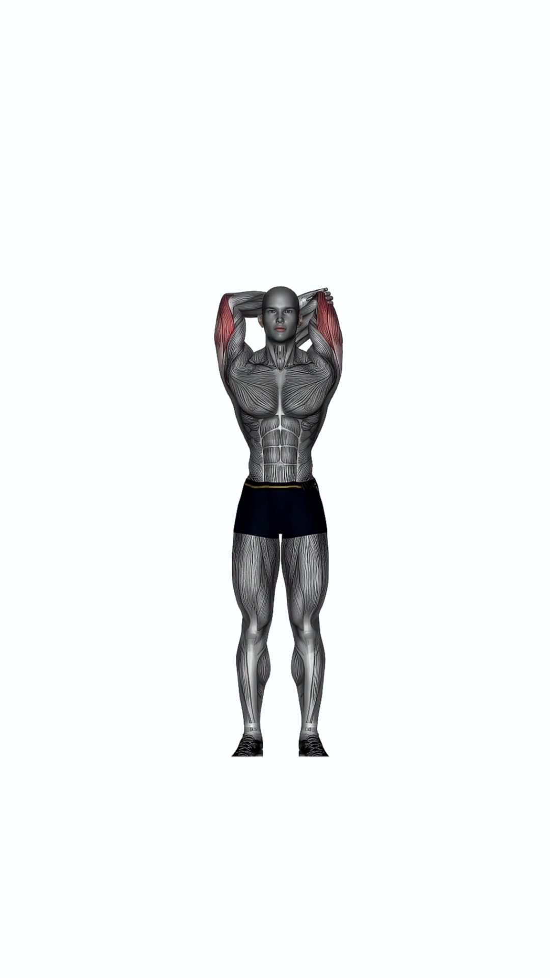 Overhand Tricep Stretching Single Arm