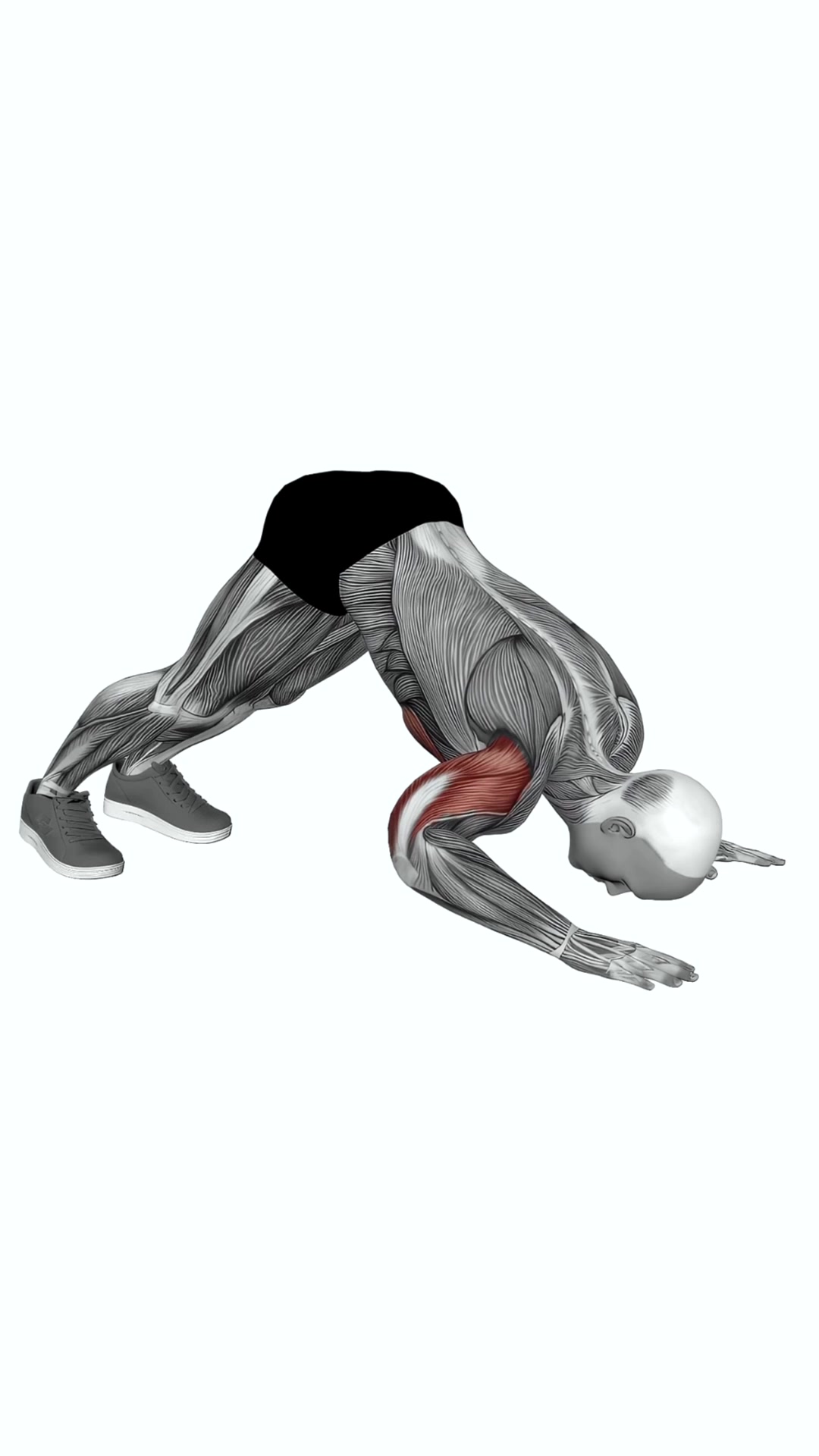 Pike Push Up