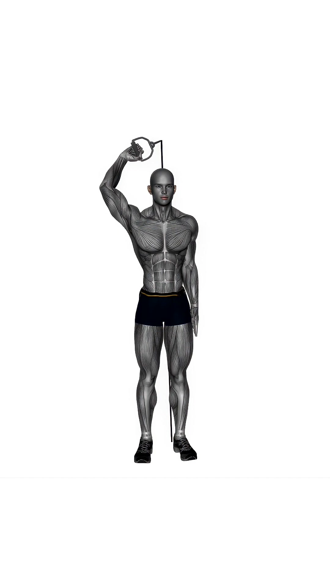 Single Arm Overhead Extension Resistance Band