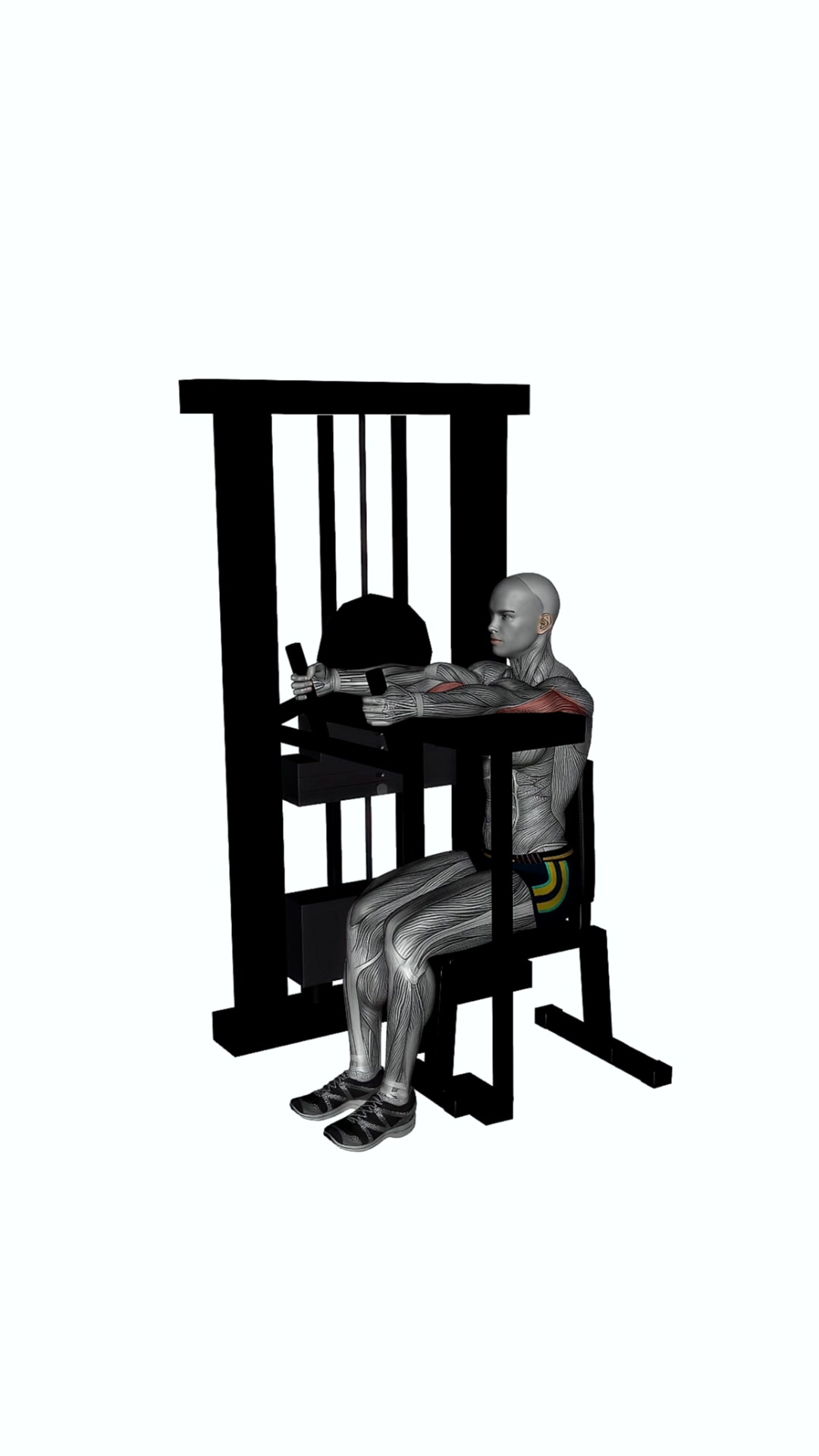 Tricep Extension Machine