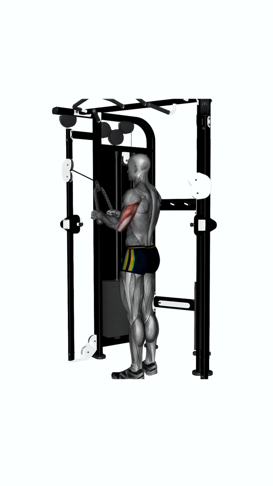 Tricep Rope Extension On Crossover Machine