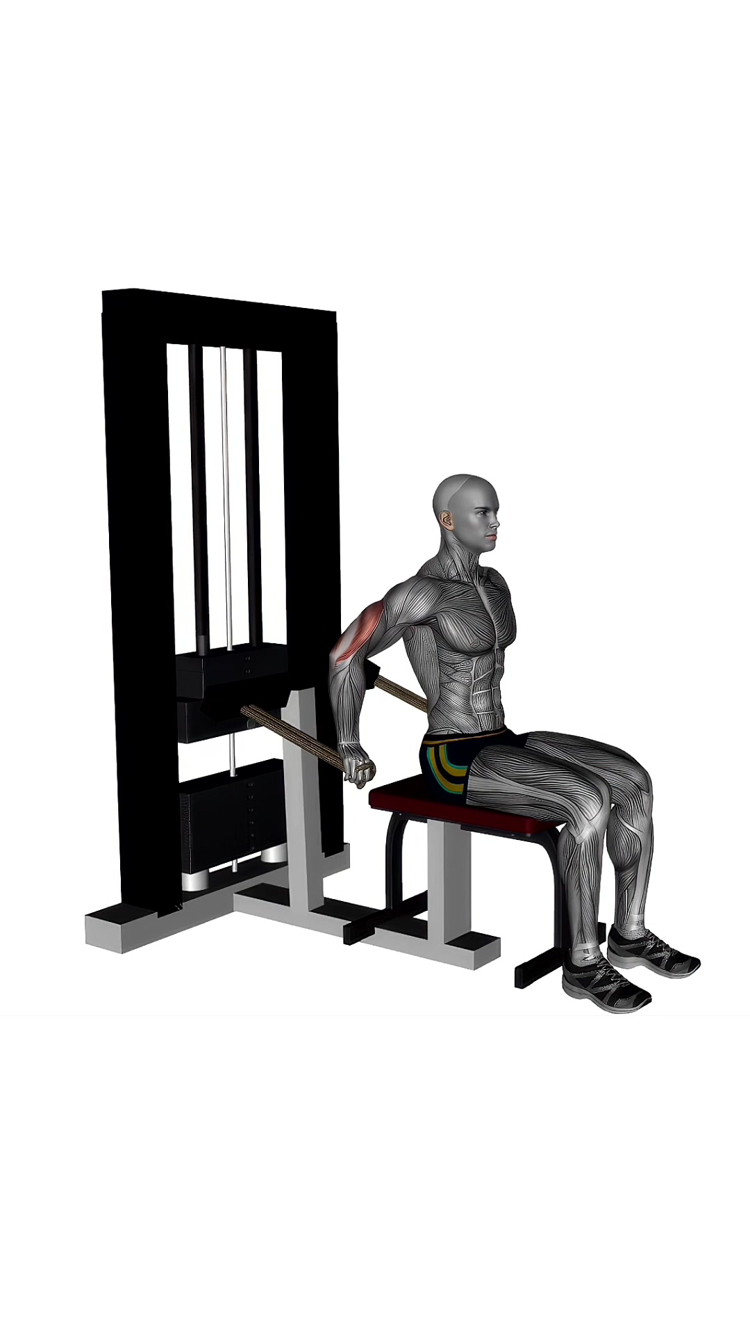 Triceps Dip Machine
