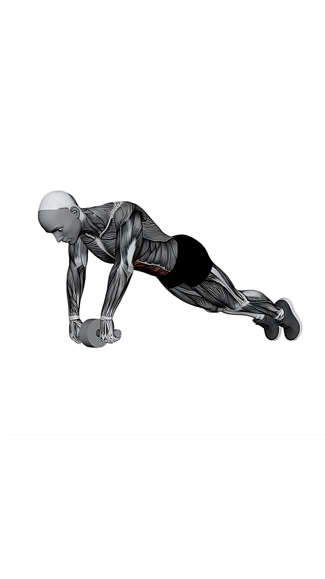 Ab Wheel Plank