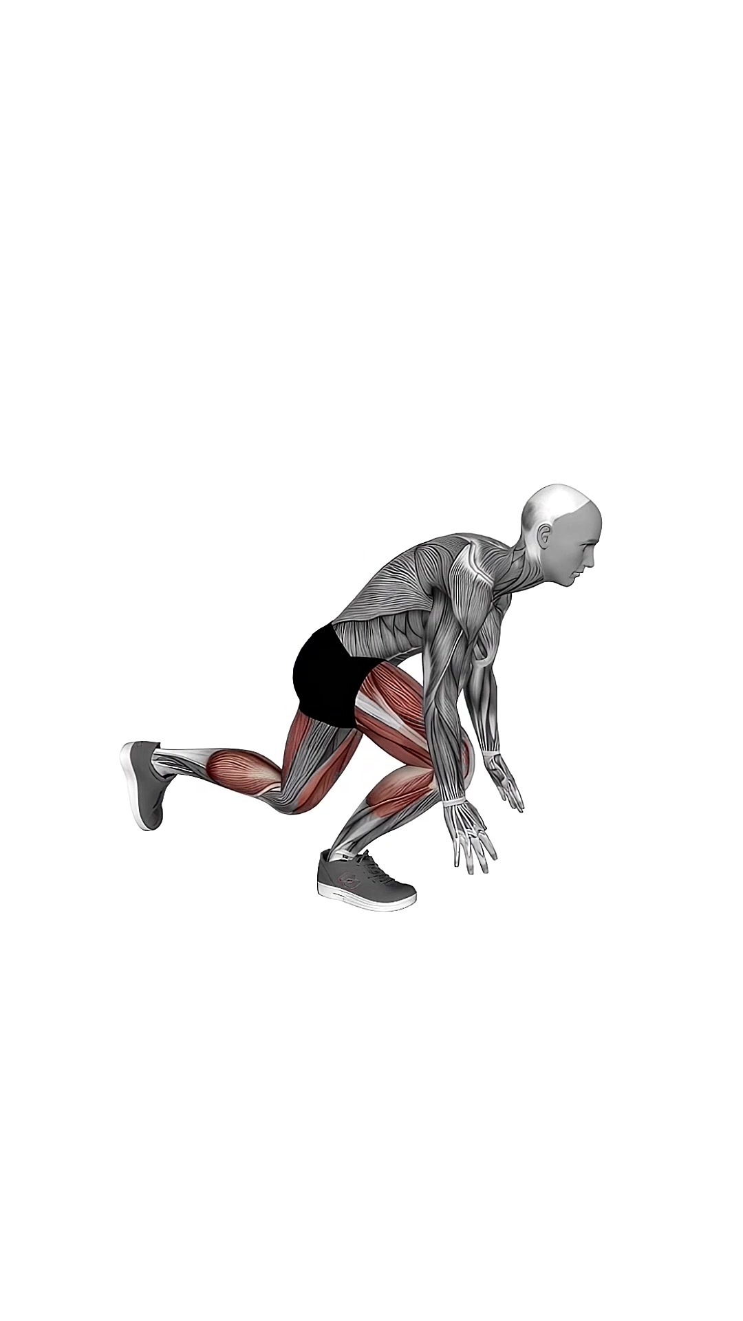 Alternate Sprinter Lunge