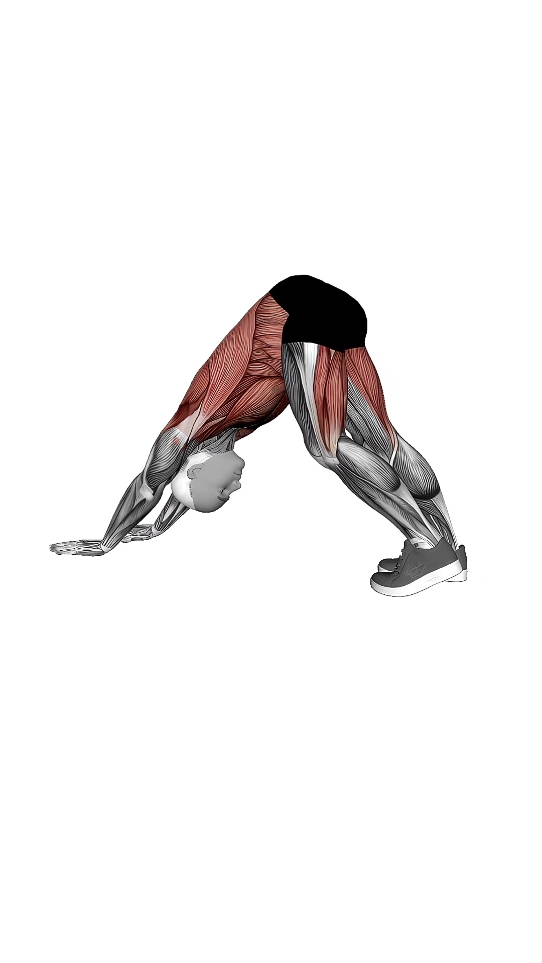 Alternating Leg Downward Dog