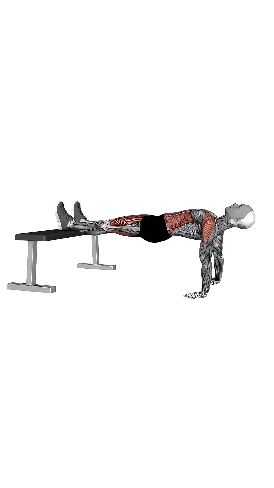 Bench Reverse Plank Hold